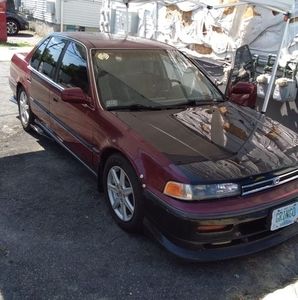 Meet your Posher, Elvis